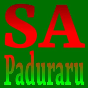 Paduraru的專輯SA (Gymnastics Mix)