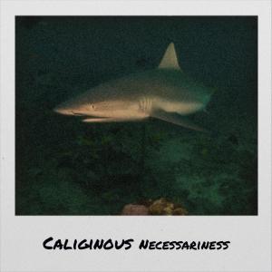 收听Edelia的Caliginous Necessariness歌词歌曲