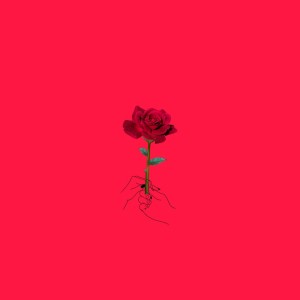 NoniT的專輯VOLVERTE A CONOCER! (Explicit)