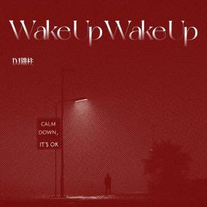 Listen to Wake Up (氛围感BGM) song with lyrics from DJ铁柱