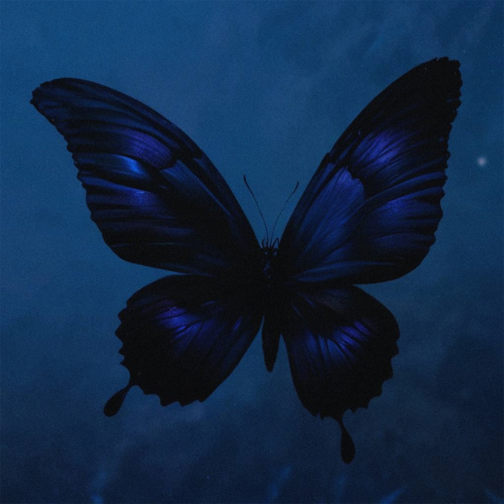butterfly effect