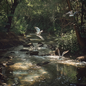 Pinetree Way的專輯Binaural Creek Ambiance: Nature and Birds for Relaxation