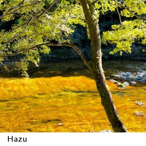 Kosmonaut的專輯Hazu
