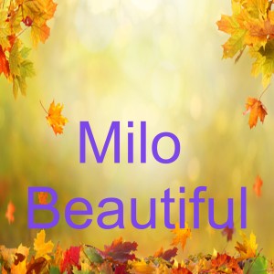 收听Milo的Milo Beautiful歌词歌曲