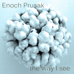 Enoch Prusak的專輯The Way I See
