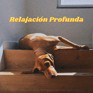 Album Música De Relajación Profunda Para Mascotas Vol. 1 from Paz
