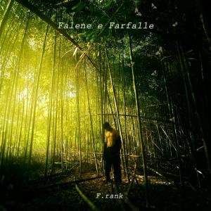 F.Rank的專輯Falene e Farfalle