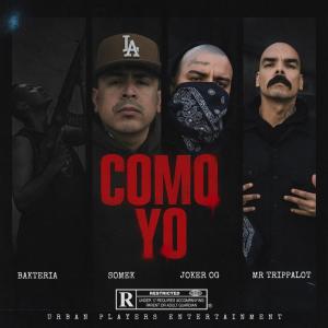 STILO CALIFERO的專輯COMO YO (feat. Somek & Lokos Del Barrio) [Explicit]