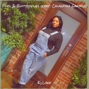 Album Flies & Butterflies from K-Lane