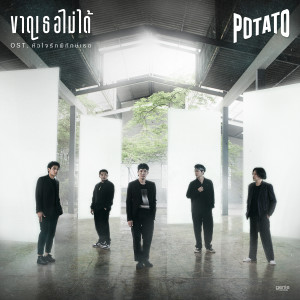 อัลบัม ขาดเธอไม่ได้ - Single ศิลปิน โปเตโต้