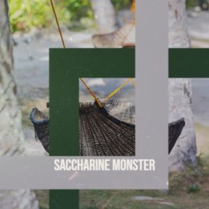 Album Saccharine Monster from Amanuel Sian