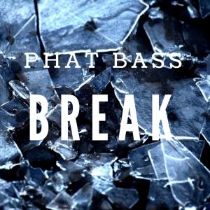 Album Break from phat bass