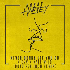 อัลบัม Never Gonna Let You Go (Dots Per Inch Remix) ศิลปิน Bobby Harvey