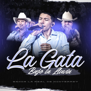 Album La Gata Bajo La Lluvia from Banda La Real De Monterrey