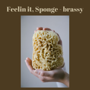 Album Feelin It, Sponge from Brassy