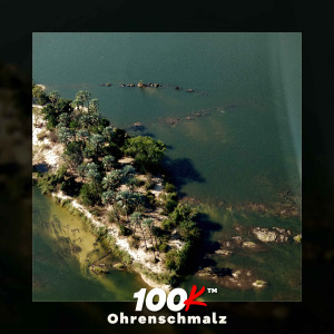 Album Ohrenschmalz from 100k