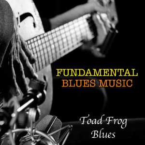 Listen to Roll & Tumble Blues song with lyrics from Hambone Willie Newburn