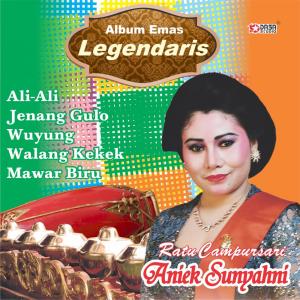 Listen to Sinom Rujak Jeruk song with lyrics from Aniek Sunyahni