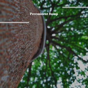 Various的专辑Preeminent Bump