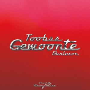 Listen to Gewoonte song with lyrics from Toobss