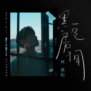 Album 黑色房间 from 林晨阳