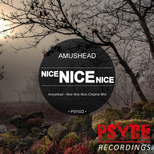 Dengarkan Nice Nice Nice (Original Mix) lagu dari Amushead dengan lirik