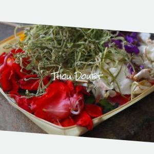 Listen to Solace String song with lyrics from Alis Weon
