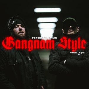 Listen to Gangnam Style (Explicit) song with lyrics from Percept