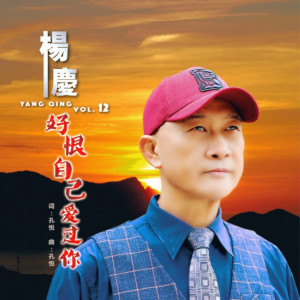 Album 杨庆 Vol.12 oleh 杨庆