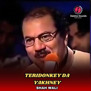 Shah Wali的專輯Teridonkey Da Yakhney