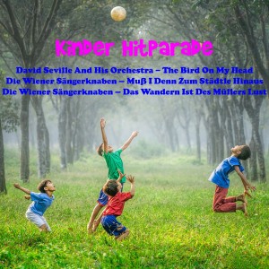 ดาวน์โหลดและฟังเพลง The Bird On My Head พร้อมเนื้อเพลงจาก David Seville And His Orchestra