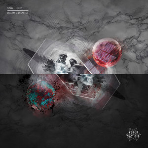 Listen to Dream & Disaster (TYNAN Remix) song with lyrics from Spag Heddy