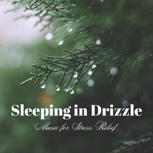 Album Sleeping in Drizzle: Music for Stress Relief from Pure Ambient Music