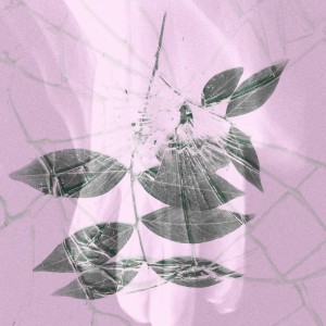 Listen to Don't Waste This Touch song with lyrics from Harbor Fate