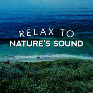 ดาวน์โหลดและฟังเพลง Life in the Wilderness พร้อมเนื้อเพลงจาก Sounds of Nature Relaxation