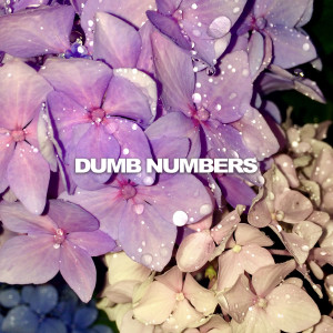 Dumb Numbers的專輯Scars b/w Essence//Existence