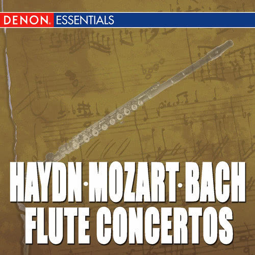 Concerto for Flute and Orchestra No. 2 in D Major, KV 314: II. Andante ma non troppo