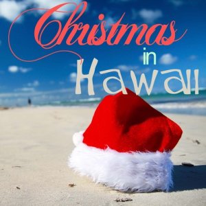ดาวน์โหลดและฟังเพลง Deck the Halls พร้อมเนื้อเพลงจาก Waimanalo Keikis