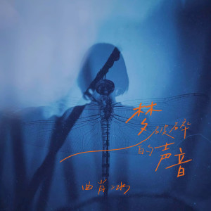 Album 梦破碎的声音 from 曲肖冰