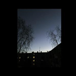 Album Dusseldorf (Explicit) from wszedzieZUBER