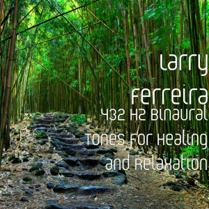 Dengarkan lagu 432 Hz Binaural Tones for Healing and Relaxation nyanyian Larry Ferreira dengan lirik