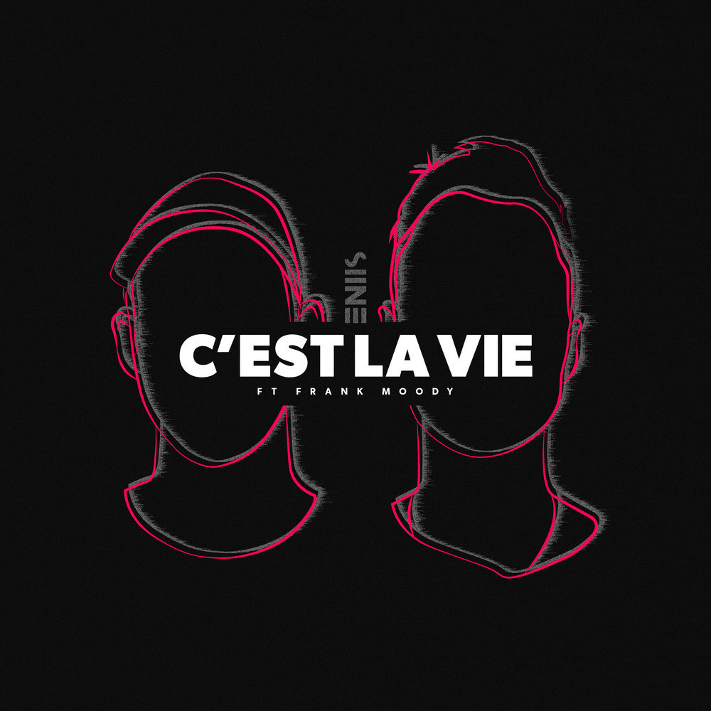 C'est La Vie (Instrumental Version)