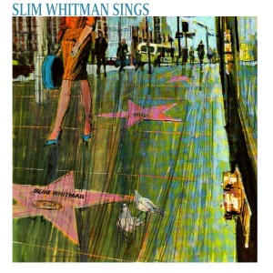 Listen to I Forgot More Than You'll Ever Know About Her song with lyrics from Slim Whitman