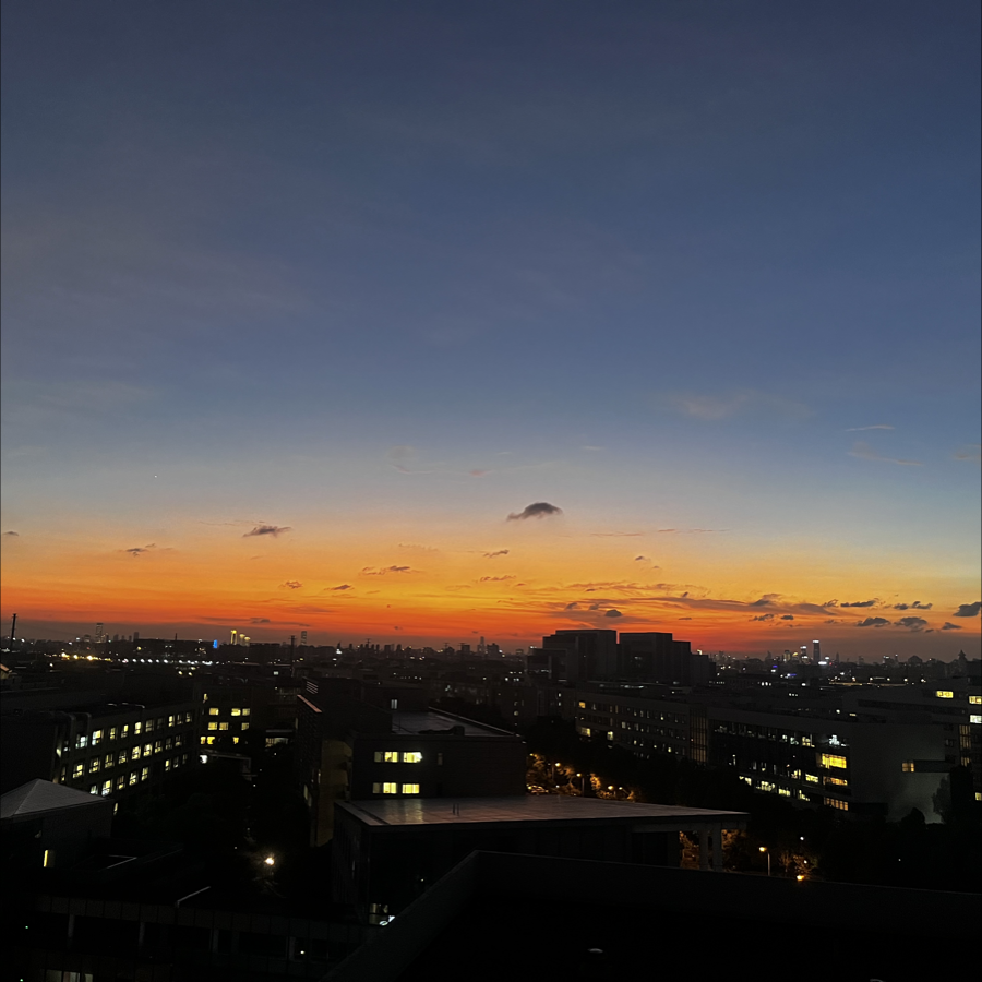 一窝棉絮