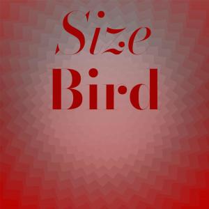 อัลบัม Size Bird ศิลปิน Various