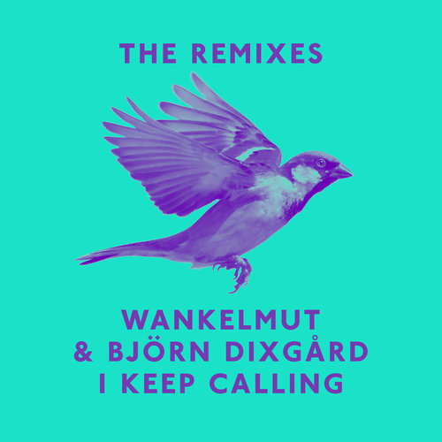 I Keep Calling (Boris Dlugosch & Cassara Dub Mix)