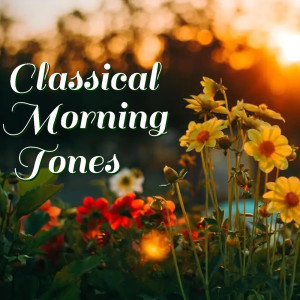 Listen to Chopin Mazurka, Op. 17, IV song with lyrics from Selina