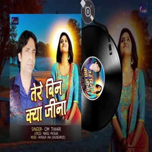 Listen to Tere Bin Kya Jina (Hindi) song with lyrics from Om Tiwari