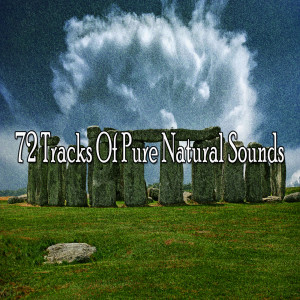 Listen to Release the Pain song with lyrics from Meditation