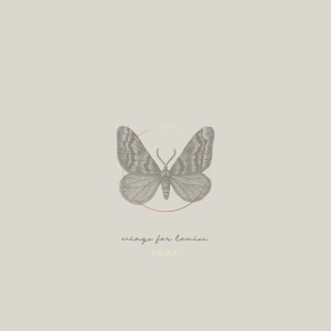 Listen to Flight of the Sandpipers song with lyrics from Wings for Louise